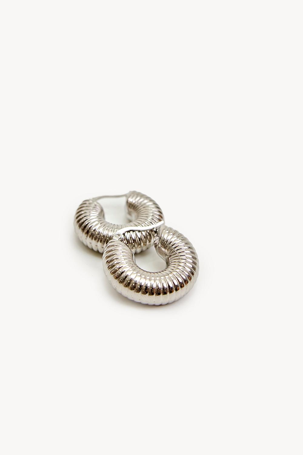 Boucles d'oreilles argentées
