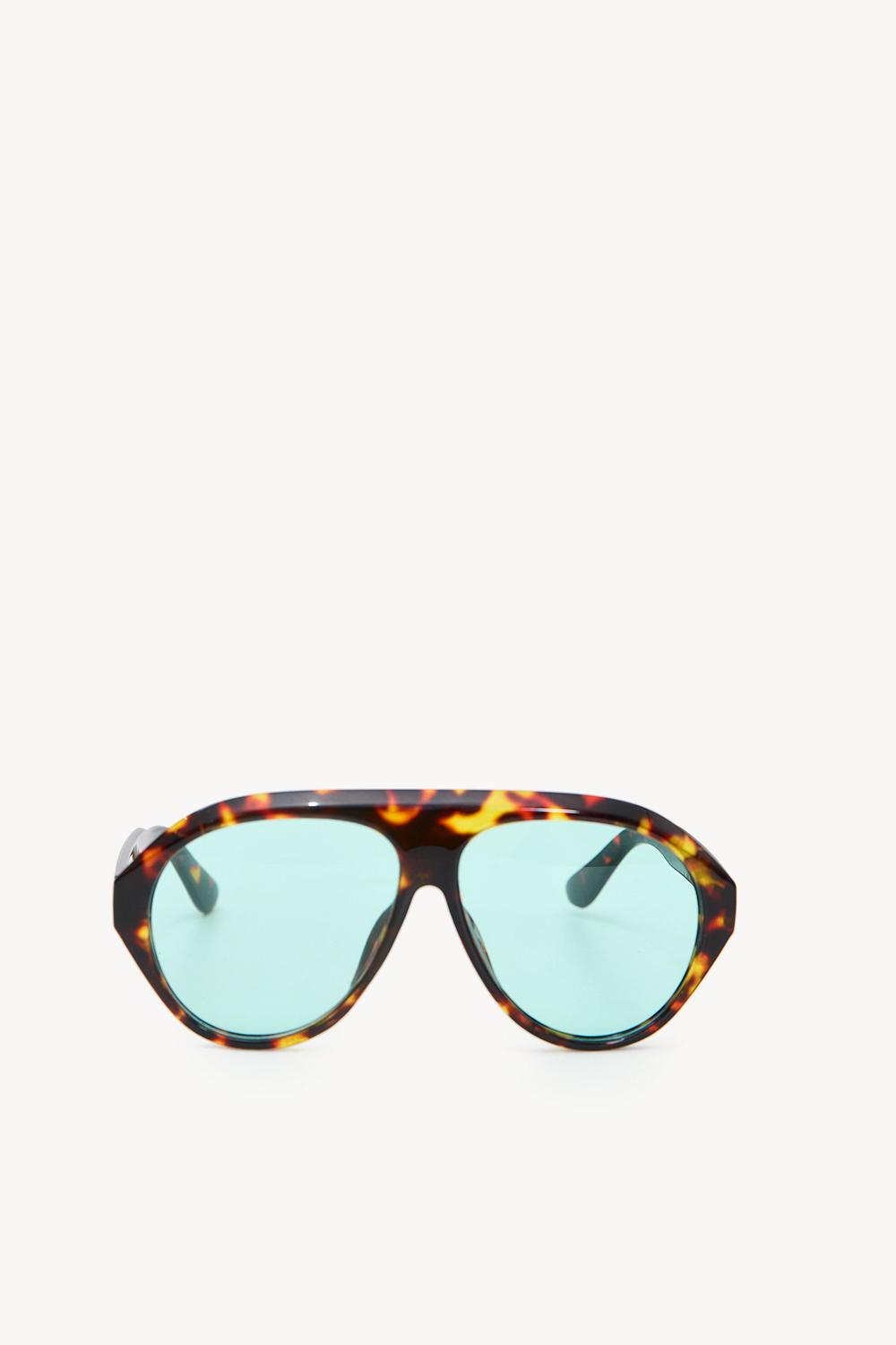 Dark brown sunglasses with a print and green lenses